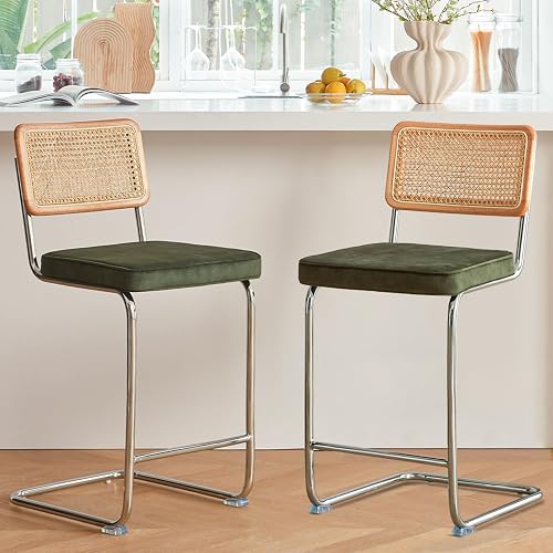GrandNoor Natural Rattan Bar Stools Set of 2 with Solid Wood Back, 24 — Final verdict and top picks lineup